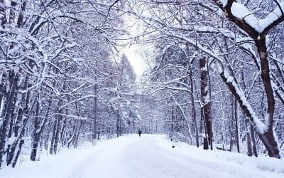 Winterreise, raakt hart en ziel